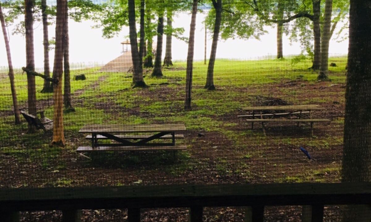 Photo of Outdoor in Waterloo