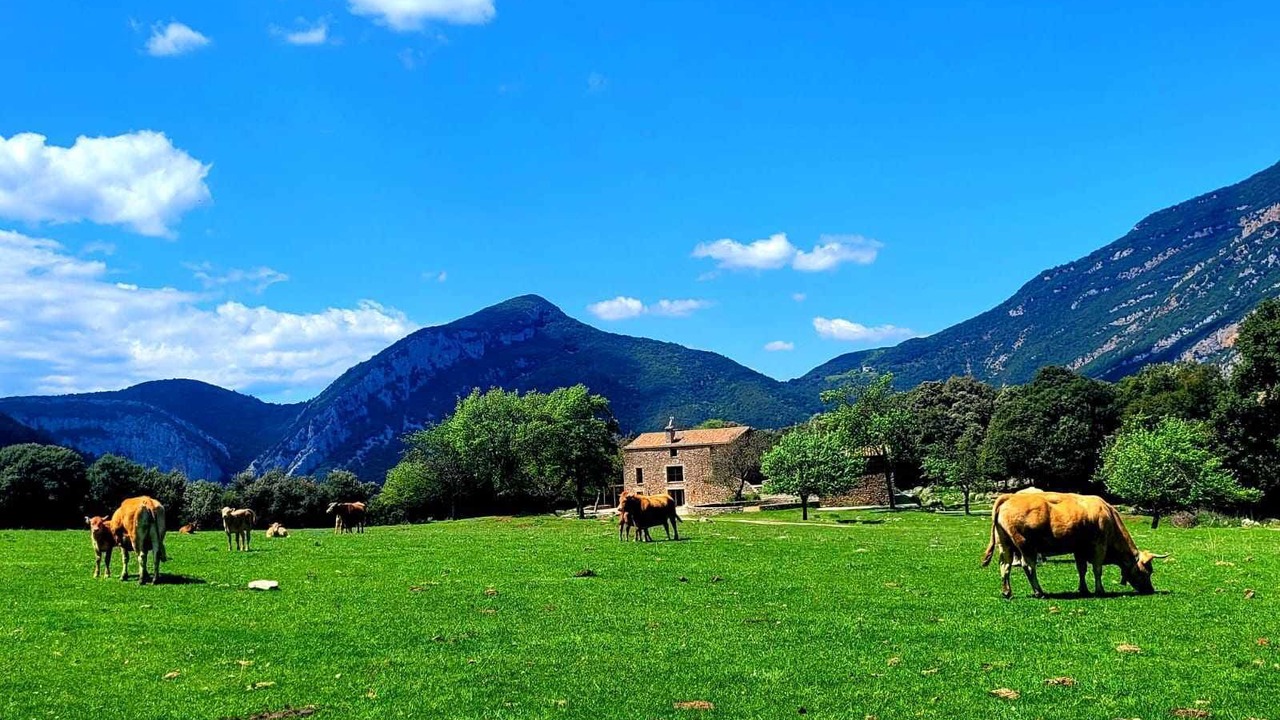 Photo of Outdoor in Montagut