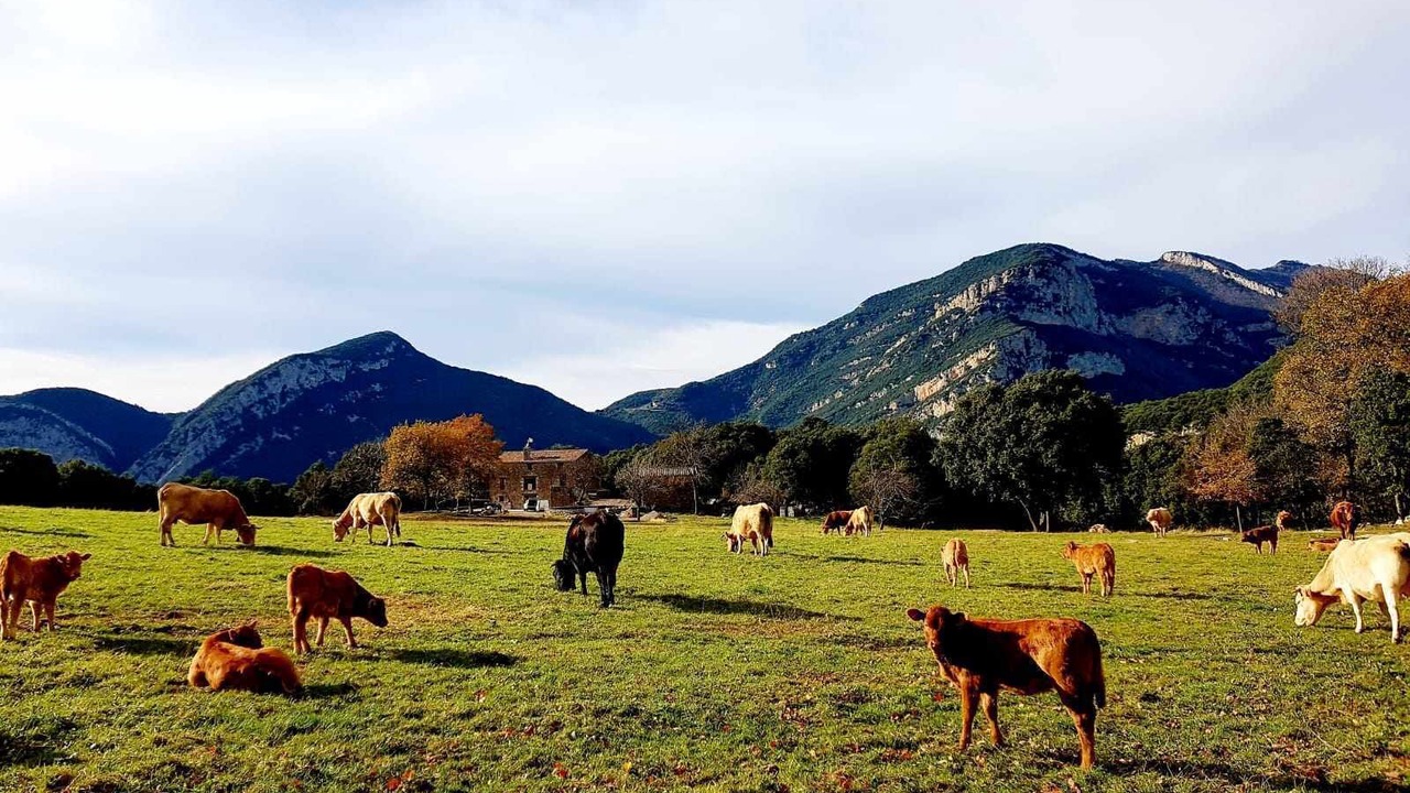 Photo of Others in Montagut
