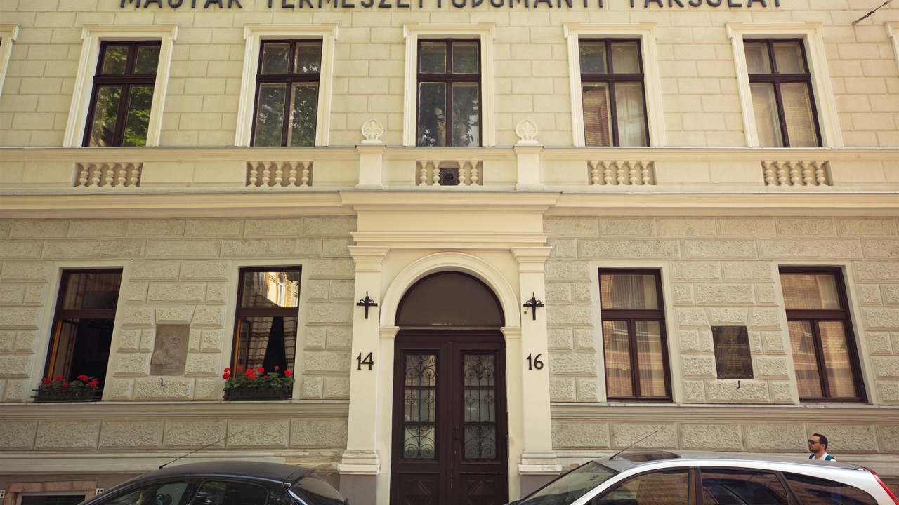 Photo of Others in Palace District