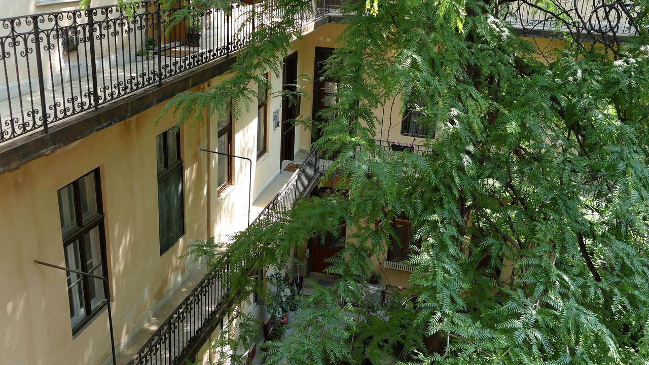 Photo of Others in Palace District
