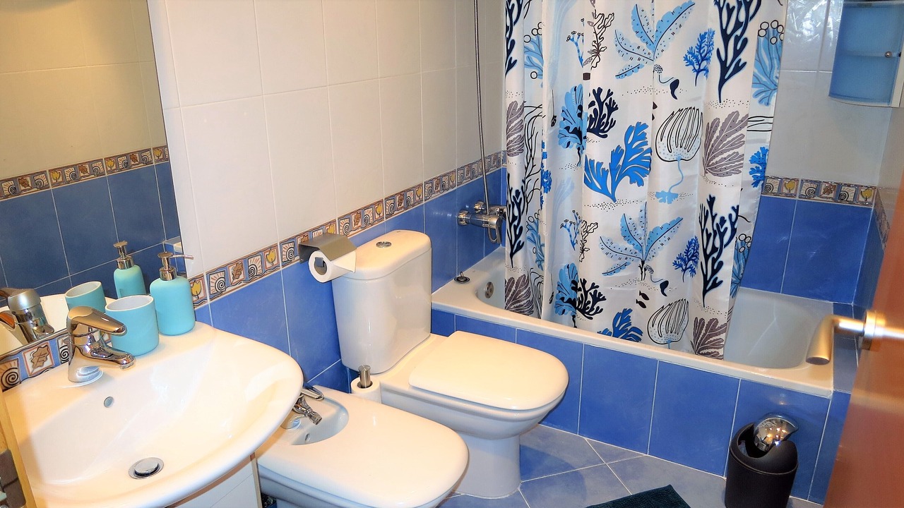 Photo of Bathroom in Montgat