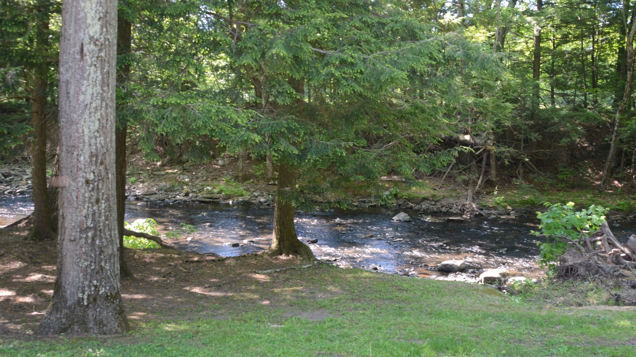 Photo of Others in Saugerties