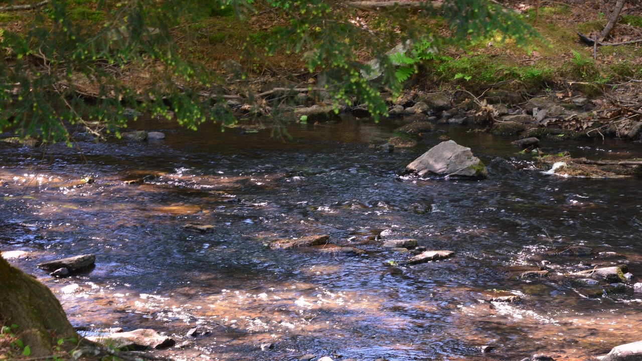 Photo of Others in Saugerties