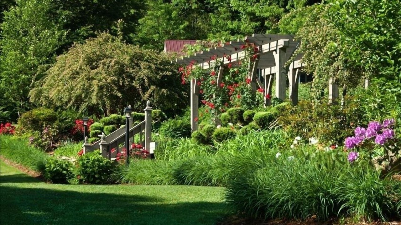 Photo of Outdoor in Andrews