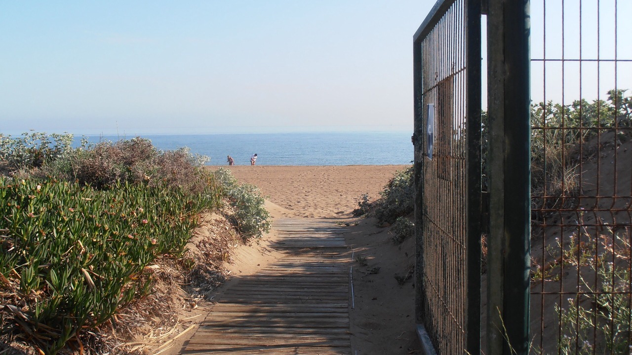 Photo of Others in Denia
