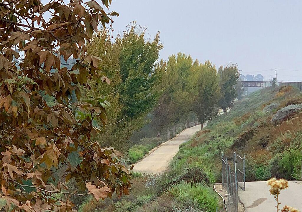 Photo of Outdoor in Sutter