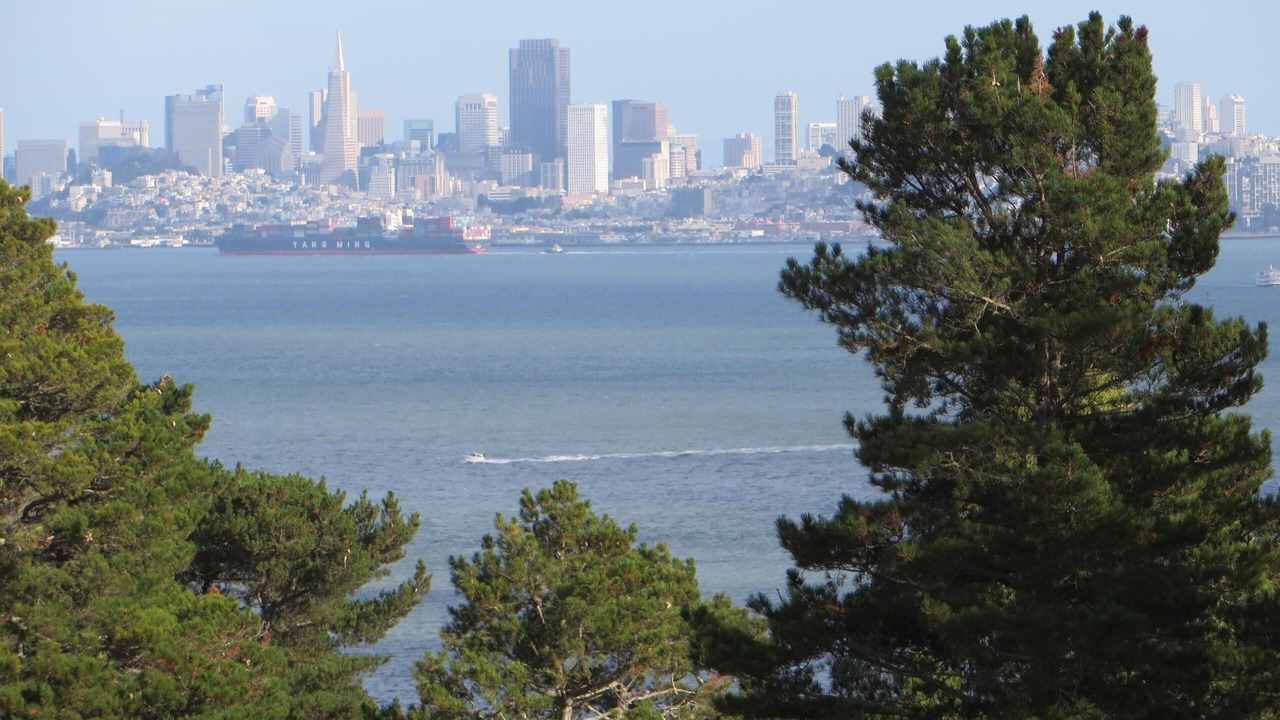 Photo of Others in Belvedere Tiburon
