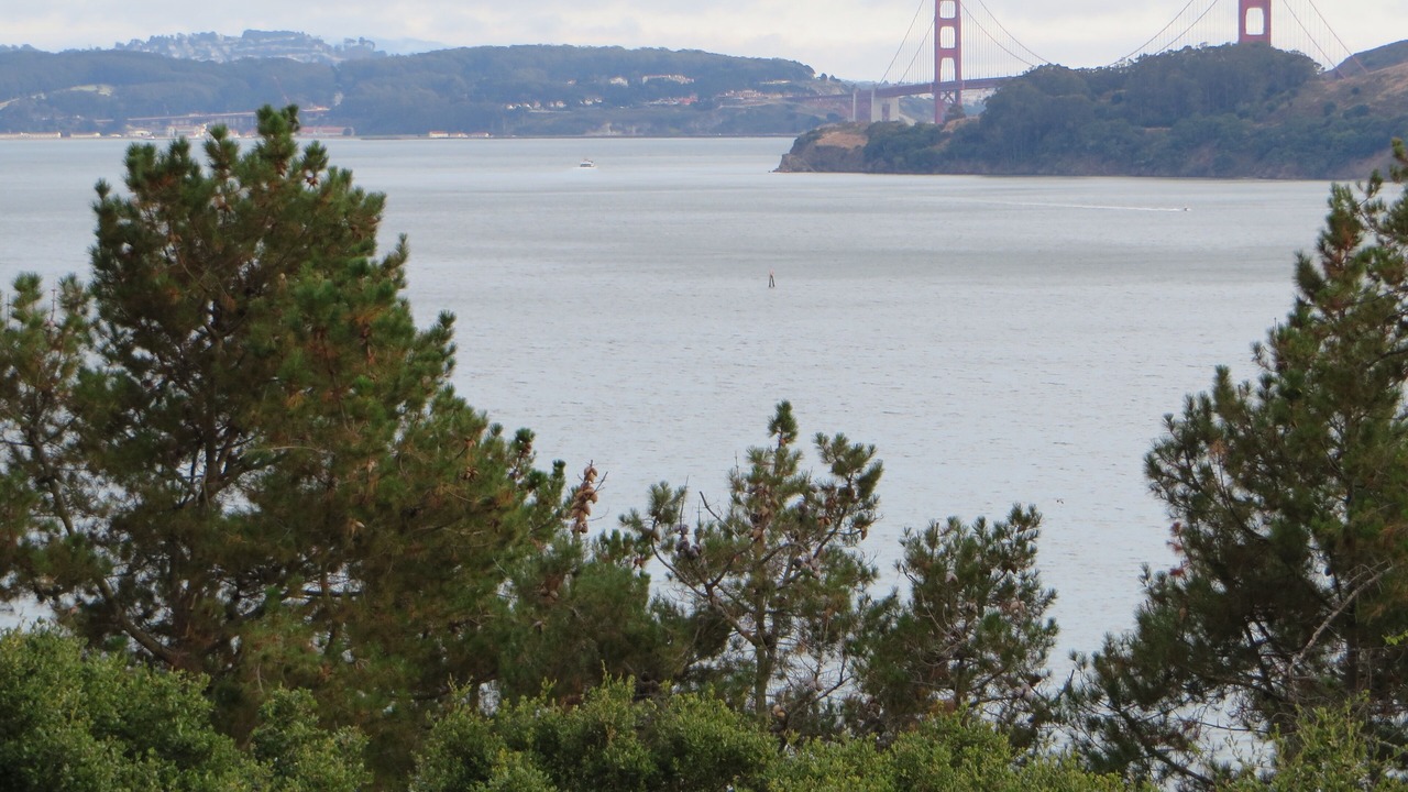 Photo of Others in Belvedere Tiburon