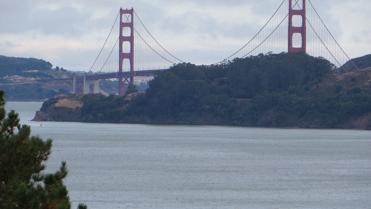 Photo of Bedroom in Belvedere Tiburon