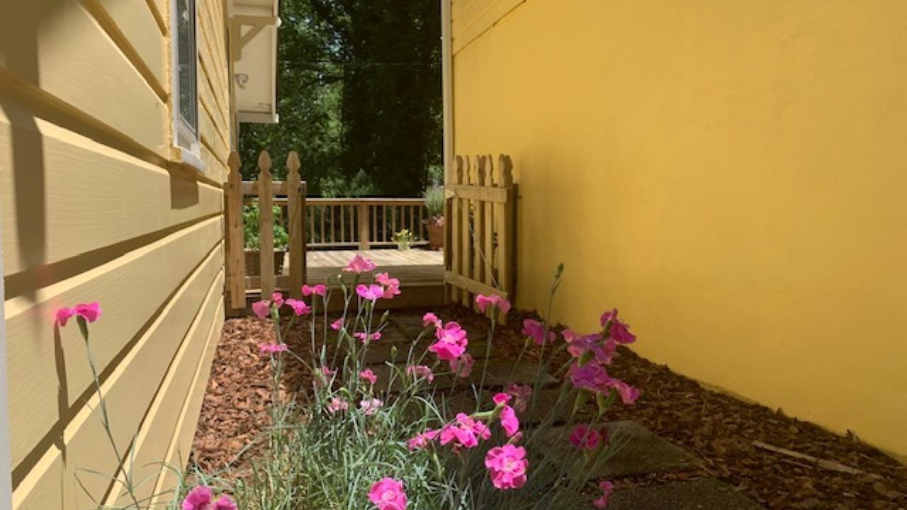 Photo of Outdoor in Saluda