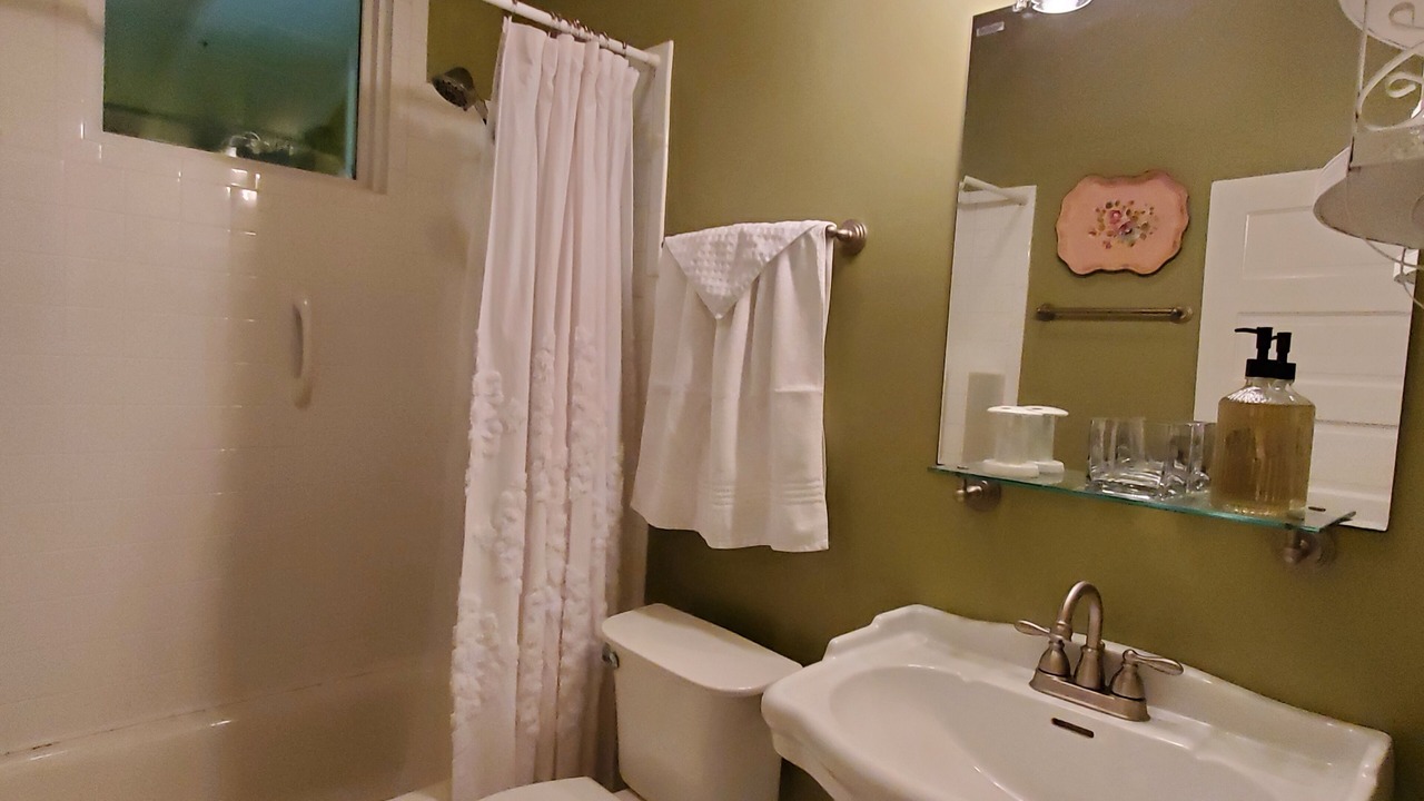 Photo of Bathroom in Saluda