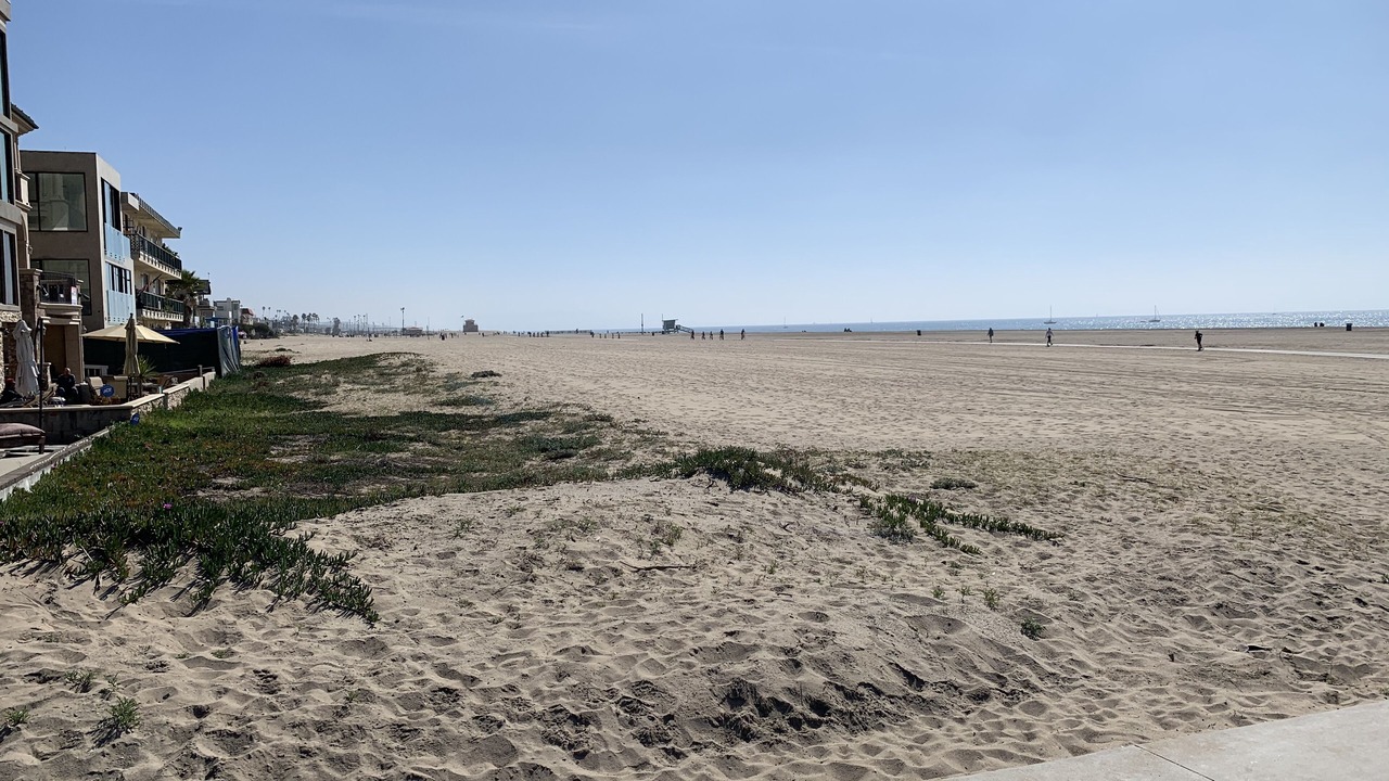 Photo of Others in Playa Del Rey