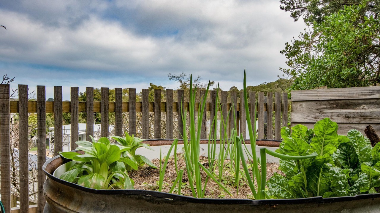 Photo of Outdoor in Rye