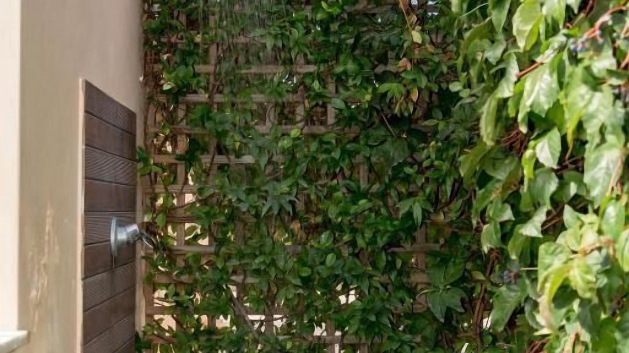 Photo of Outdoor in Foinikounta