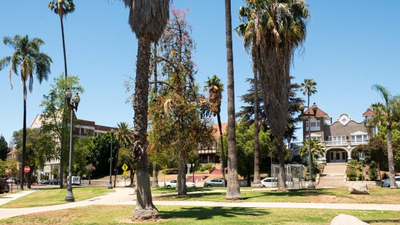 Photo of Outdoor in Pico-Union