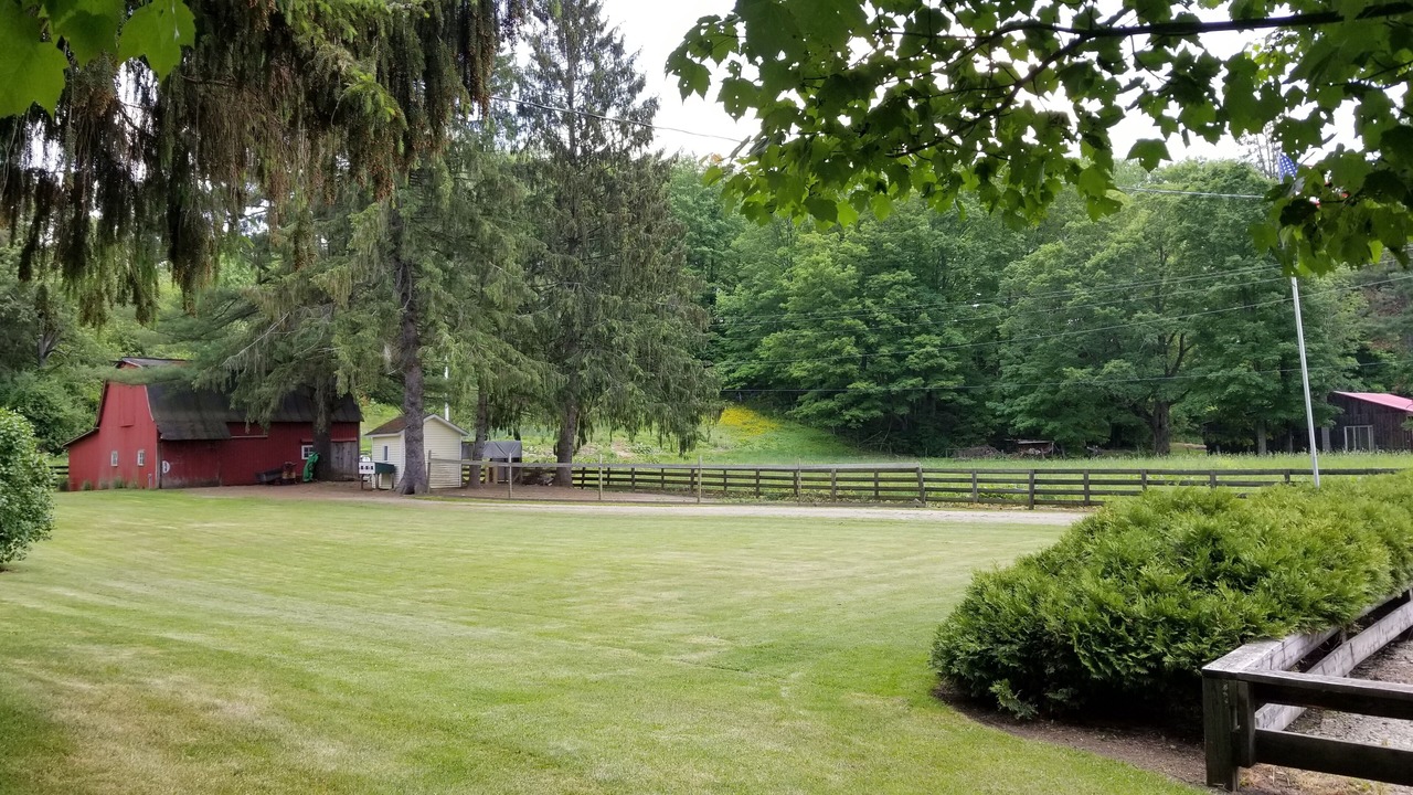 Photo of Outdoor in Randolph