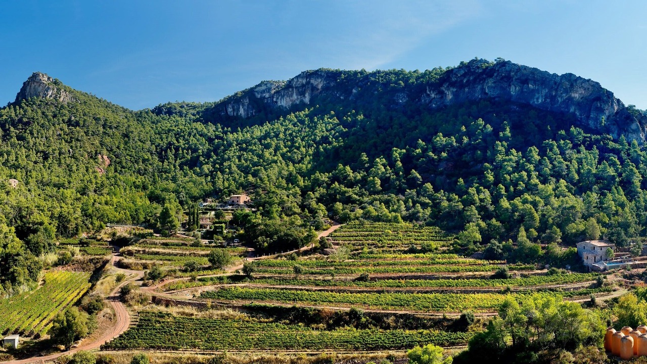 Photo of Outdoor in Falset