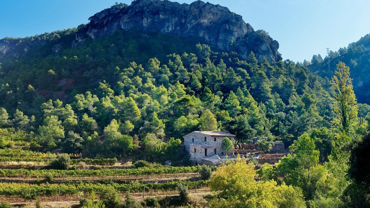 Photo of Outdoor in Falset