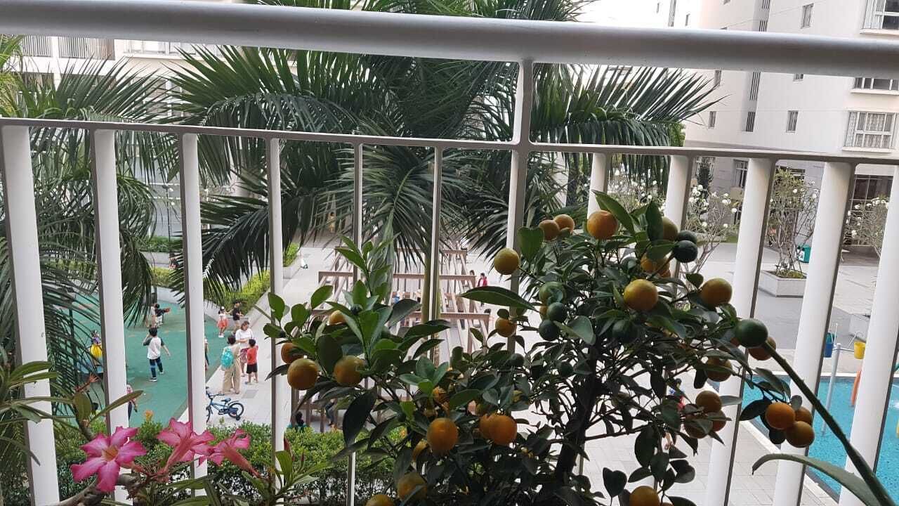 Photo of Outdoor in Phu My Hung
