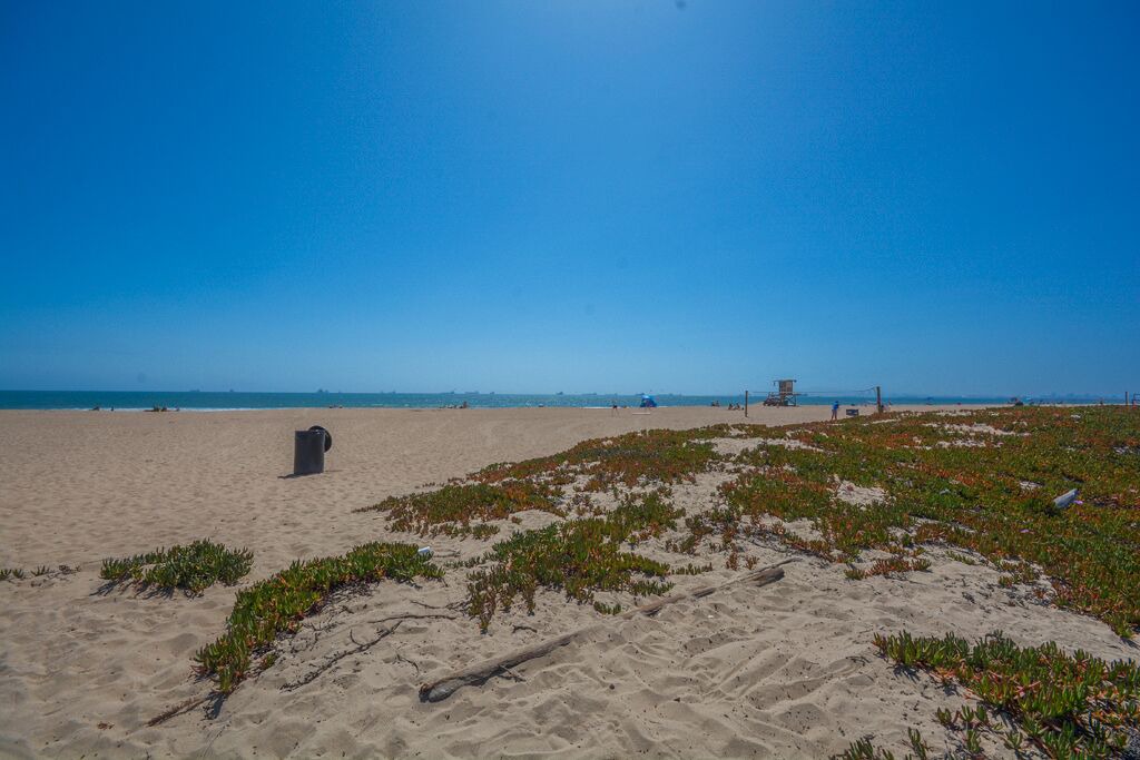 Photo of Others in Sunset Beach