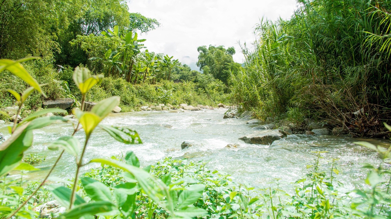 Photo of Outdoor in Ha Giang