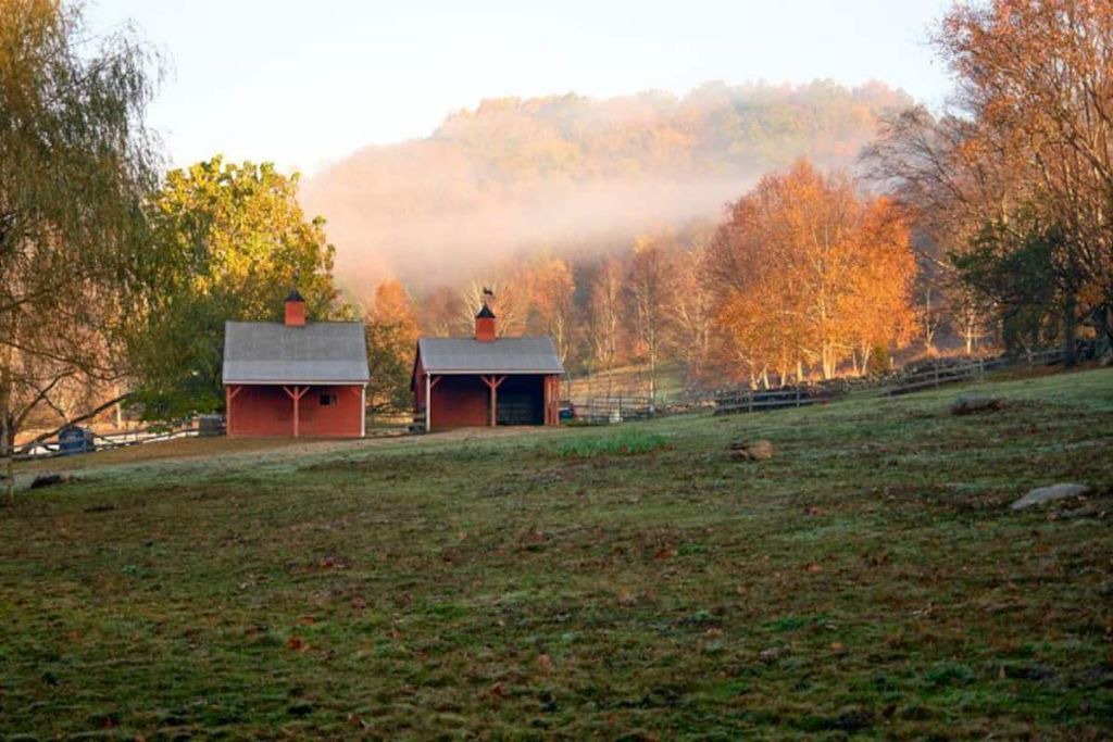 Photo of Outdoor in South Kent