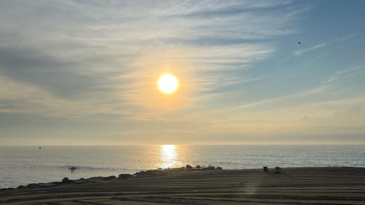Photo of Others in Long Branch