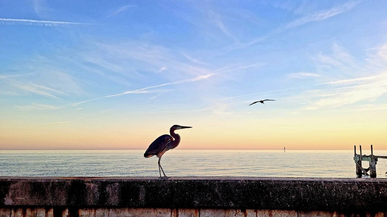 Photo of Others in Long Beach