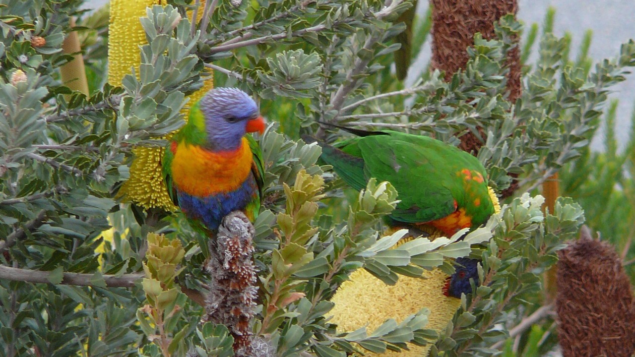 Photo of Outdoor in Lakes Entrance