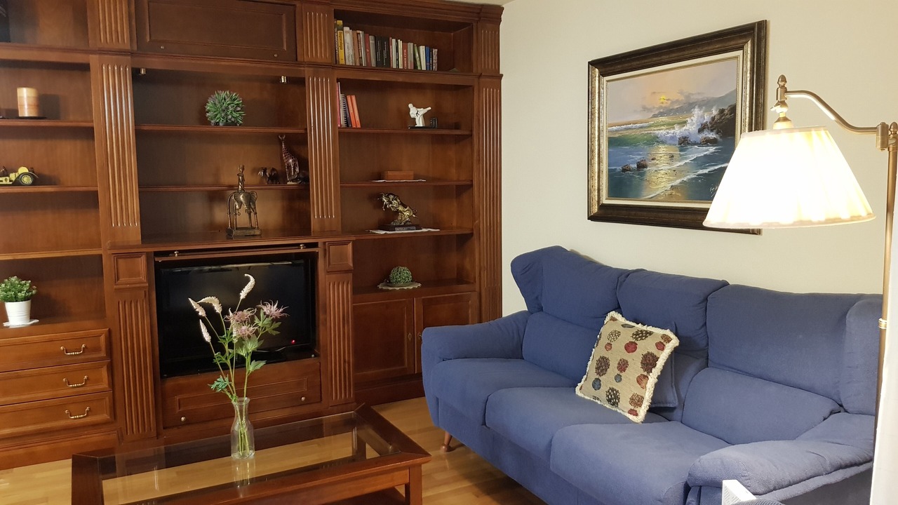 Photo of Livingroom in Vicalvaro