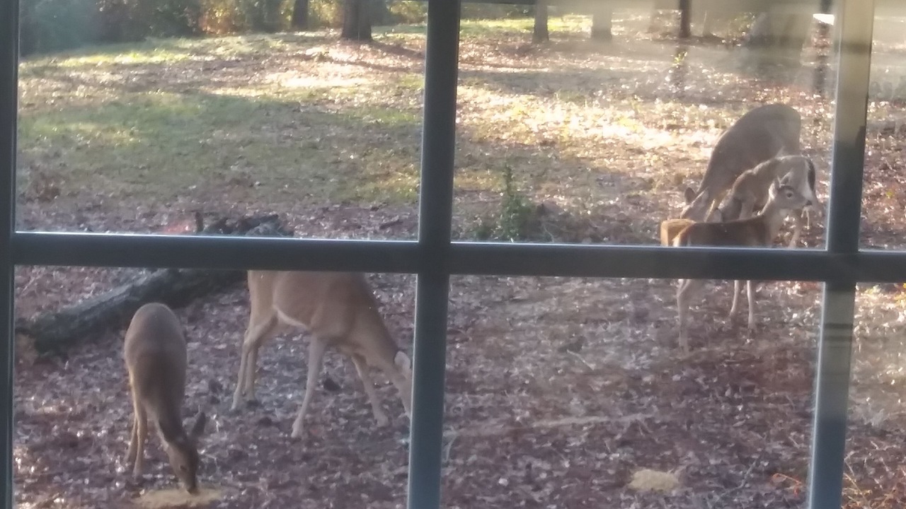 Photo of Others in Escambia County