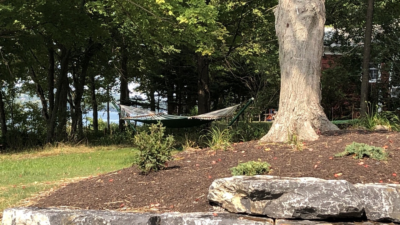 Photo of Others in Skaneateles