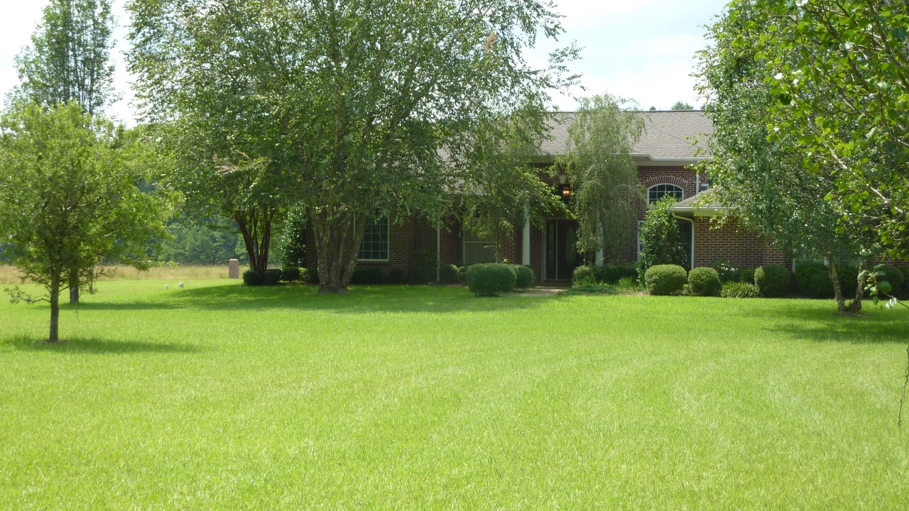 Photo of Outdoor in Starkville
