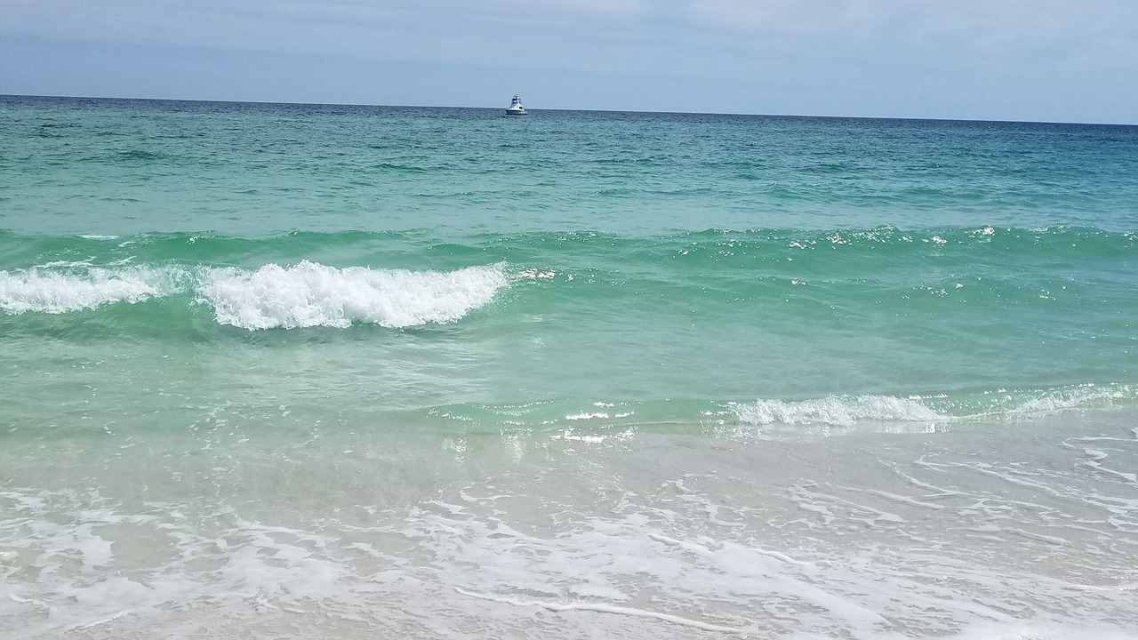 Photo of Others in South Pensacola