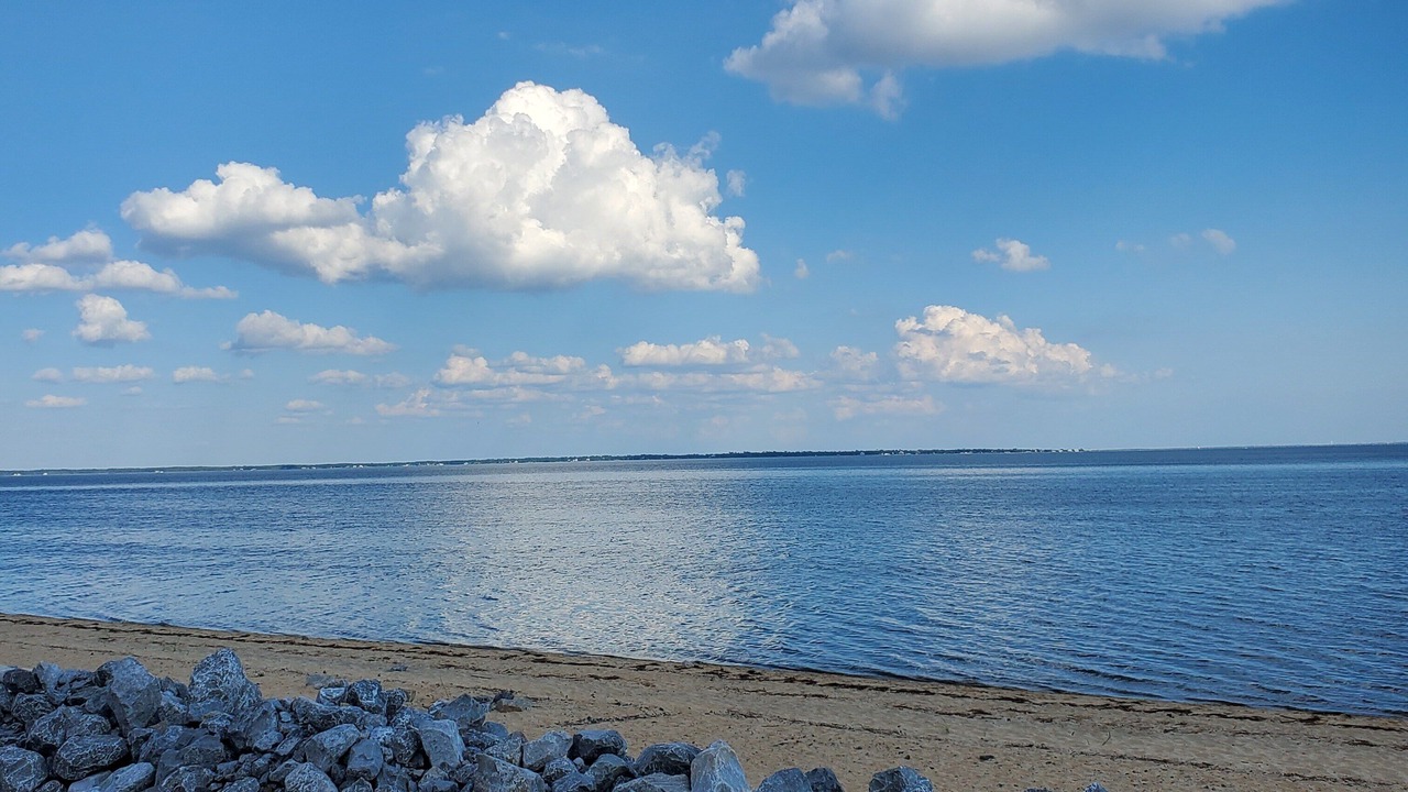 Photo of Others in South Pensacola