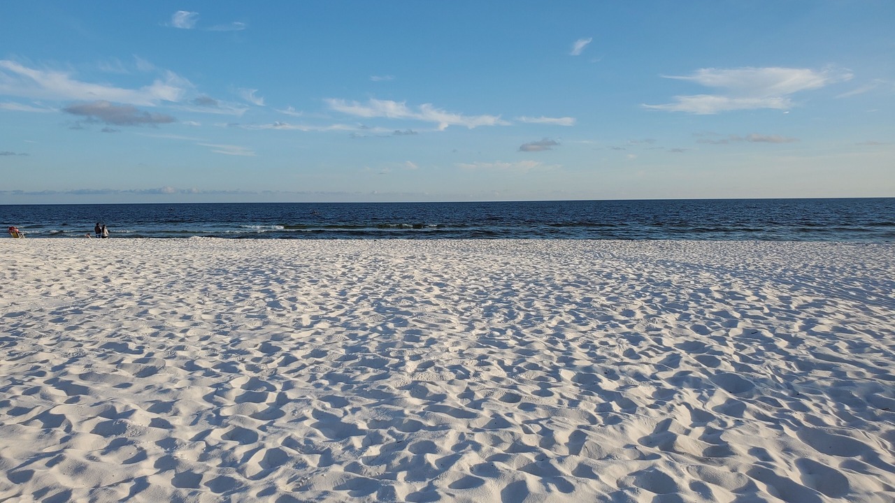 Photo of Others in South Pensacola