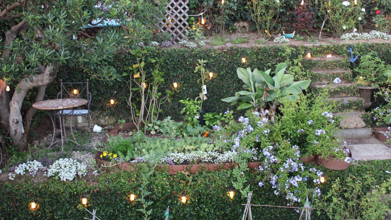 Photo of Outdoor in Playa Del Rey