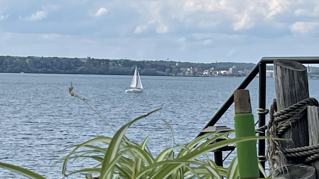 Photo of Others in Geneva