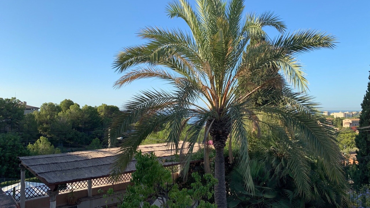 Photo of Outdoor in Palma de Mallorca
