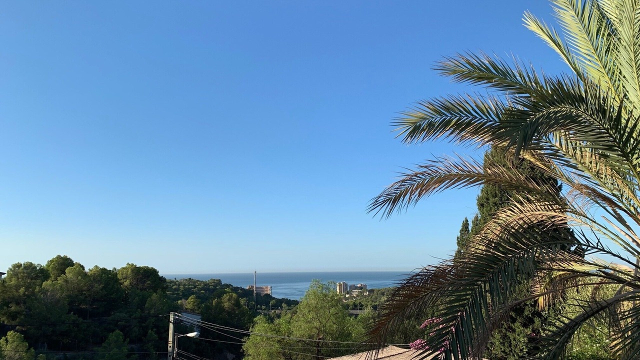 Photo of Others in Palma de Mallorca