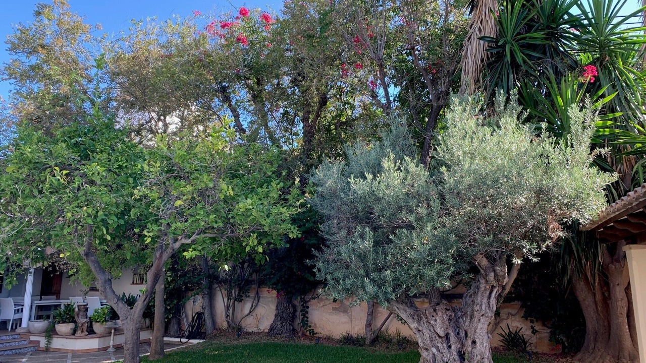 Photo of Outdoor in Palma de Mallorca