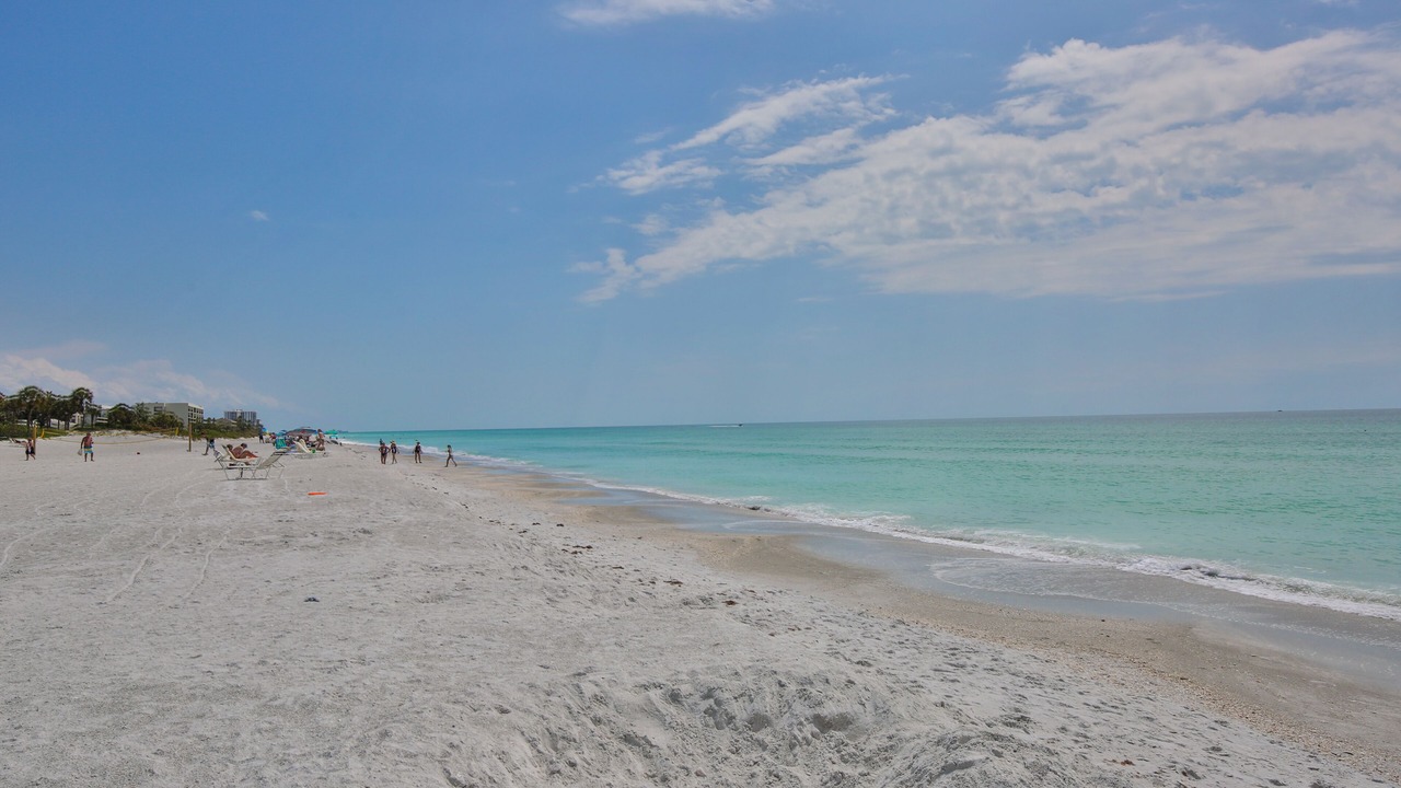 Photo of Others in Longboat Key