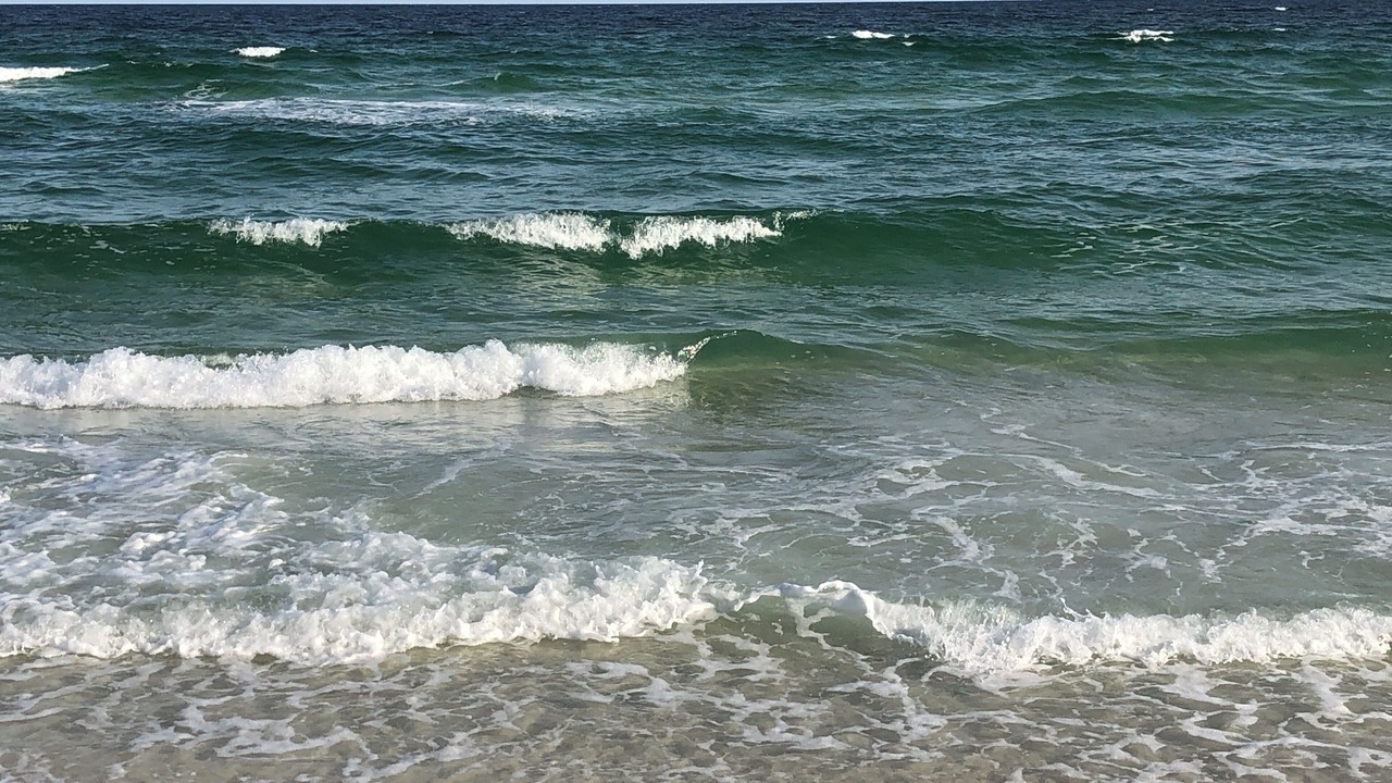 Photo of Others in Florida Panhandle