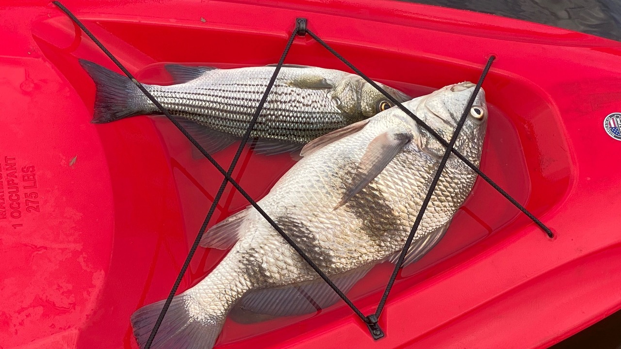 Photo of Others in Florida Panhandle