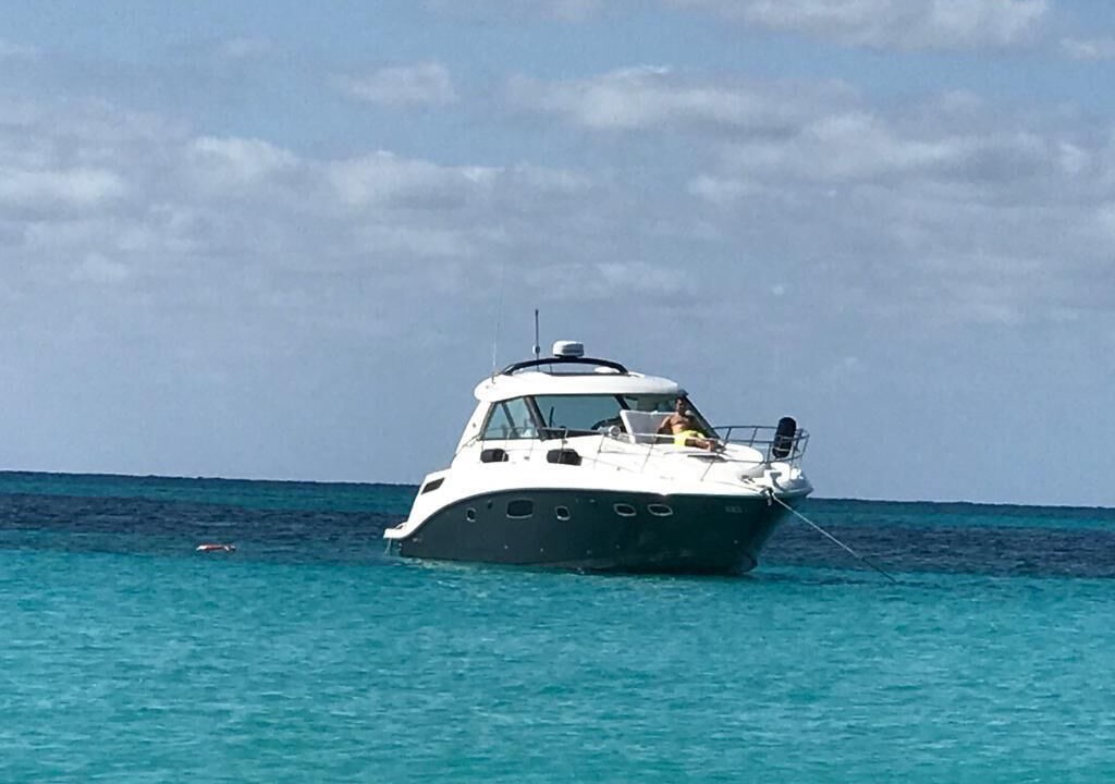 Photo of Others in Key Biscayne