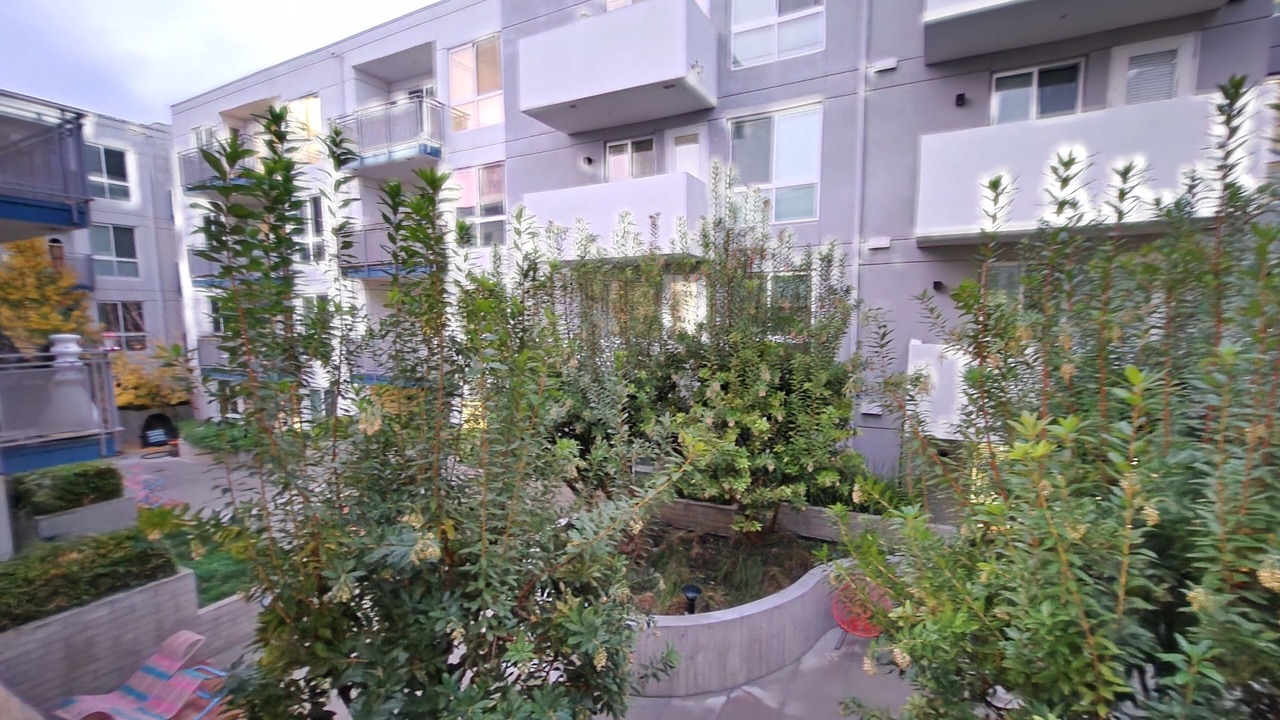 Photo of Outdoor in Melrose