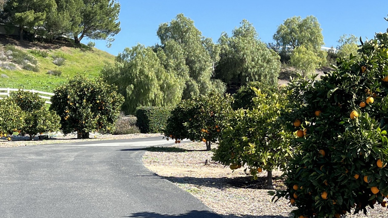 Photo of Others in Temecula