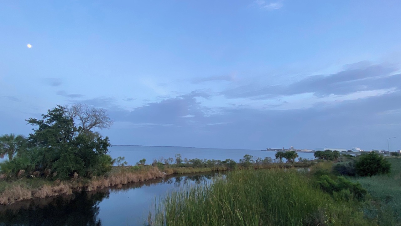 Photo of Others in Southeast Pensacola