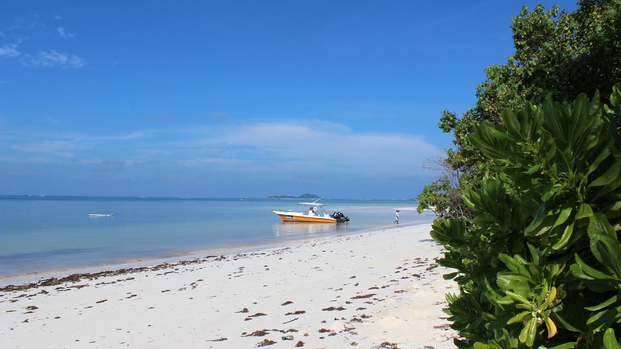 Photo of Others in Grand Anse